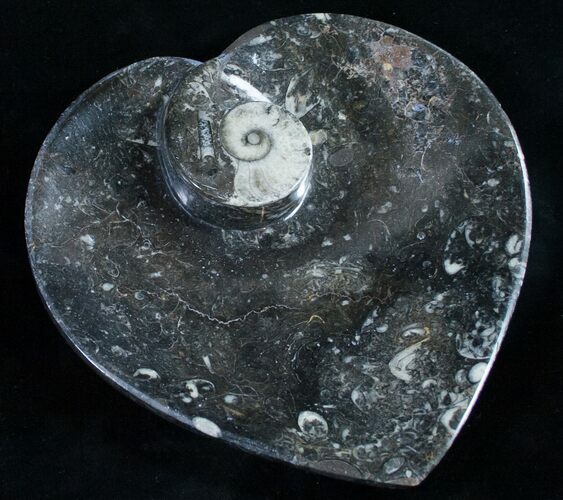 Heart Shaped Fossil Goniatite Dish #9011